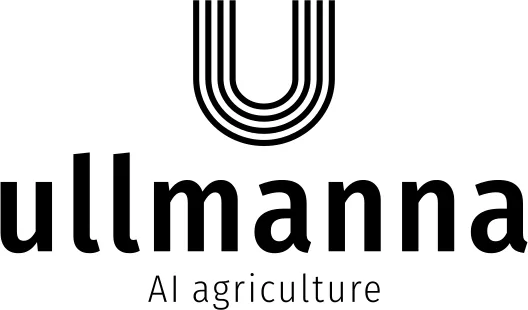 Ullmanna
