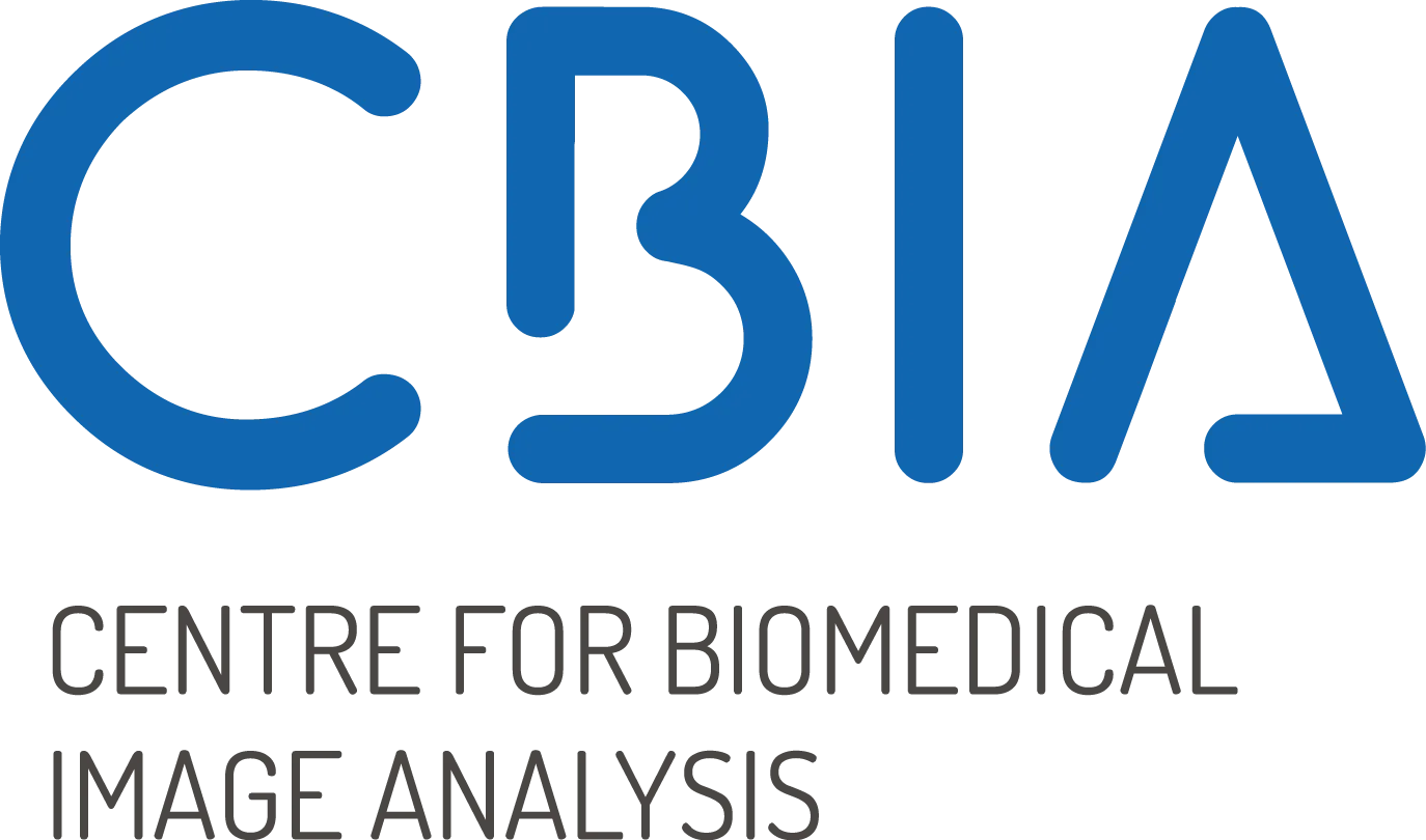 Centrum analýzy biomedicínského obrazu (CBIA)